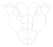logo-intelecto